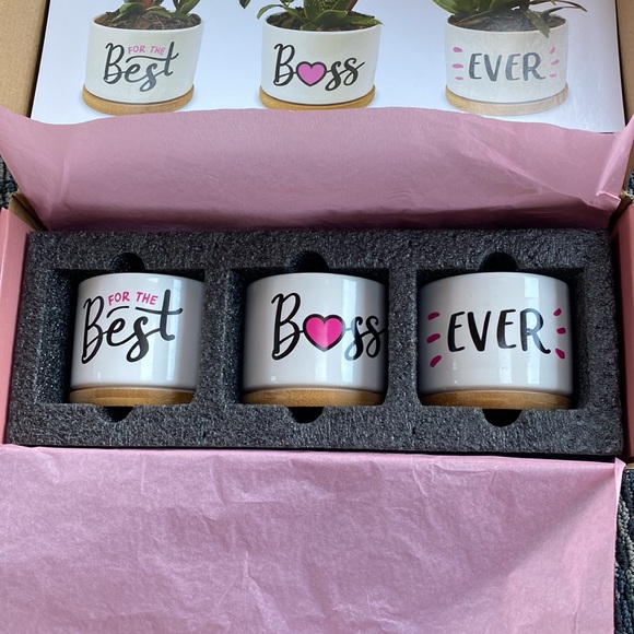 Planters - Picture 3 of 3